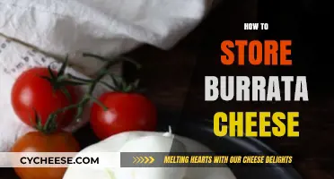 Proper Burrata Storage Tips: Keep Your Creamy Cheese Fresh Longer
