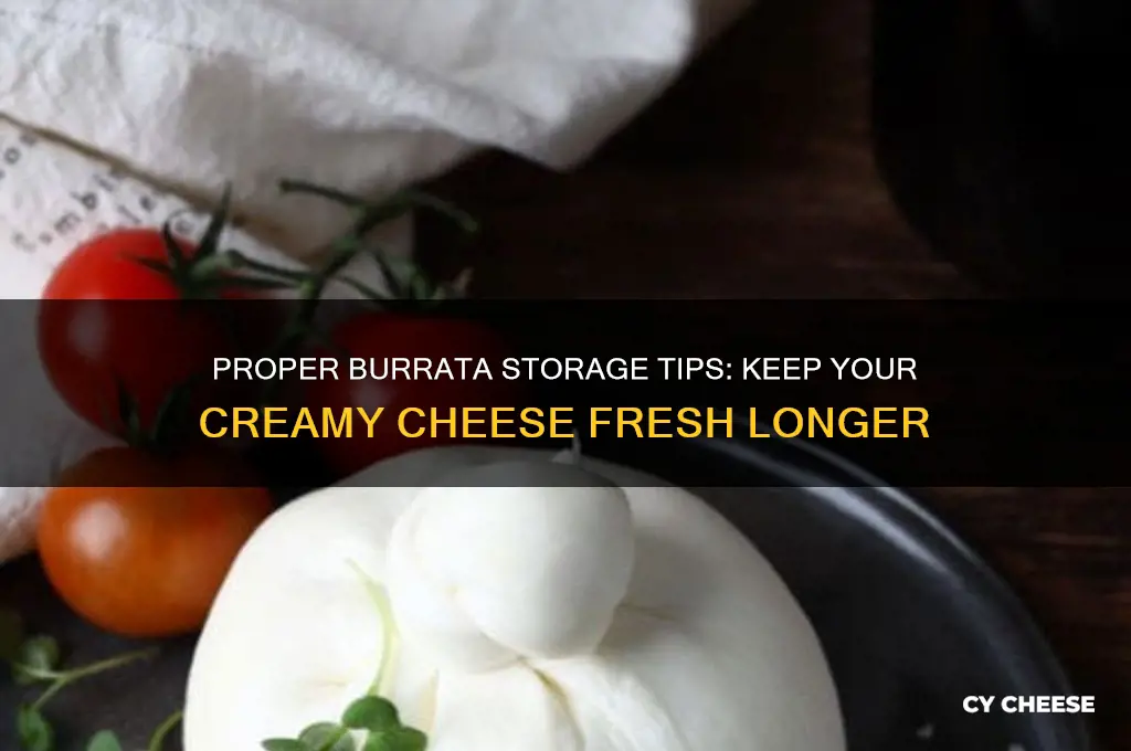 how to store burrata cheese