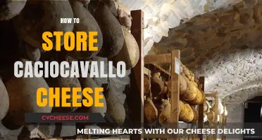 Mastering Caciocavallo Storage: Tips for Preserving Its Flavor and Texture