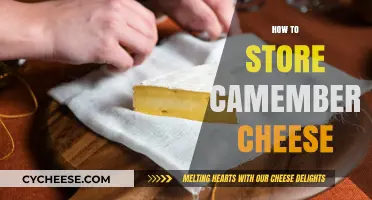 Perfect Camembert Storage: Tips for Freshness and Flavor Preservation