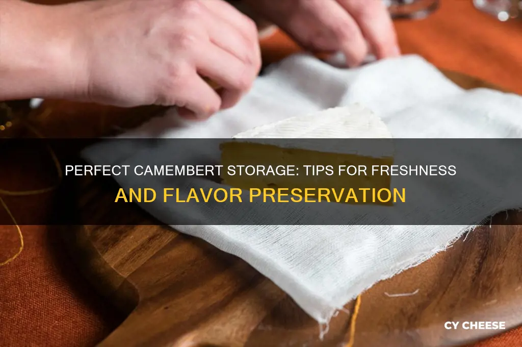 how to store camembert cheese