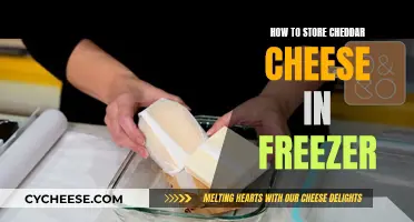 Cheddar Cheese Freezer Storage: Tips for Long-Term Freshness