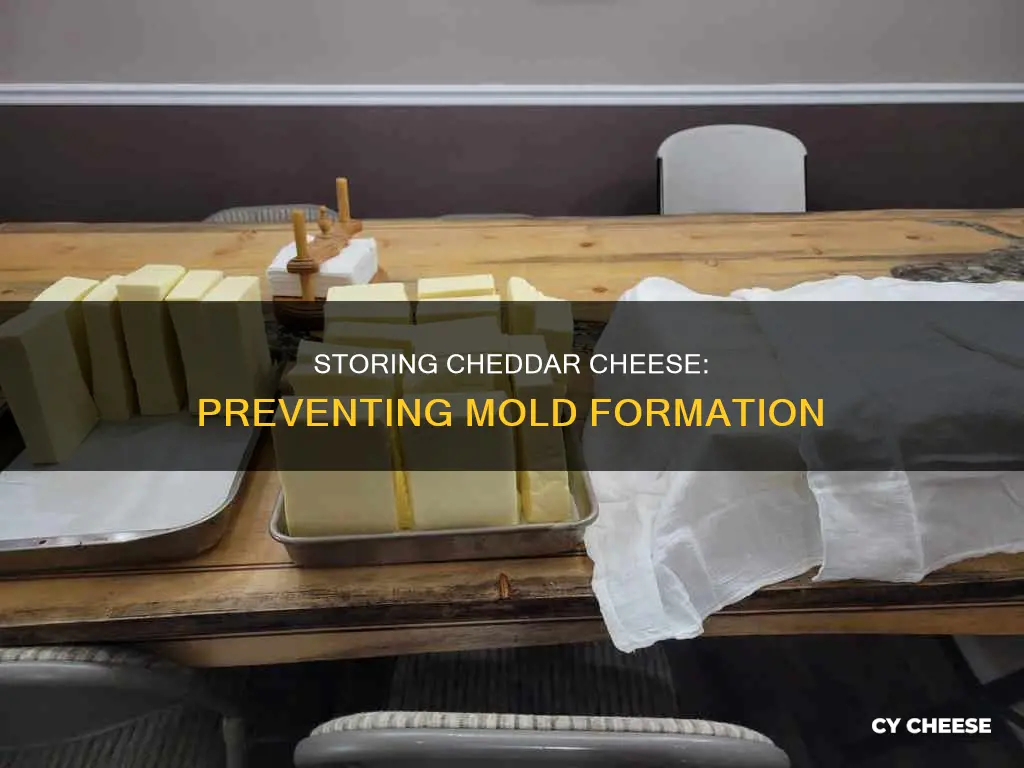 how to store cheddar cheese so it doesn