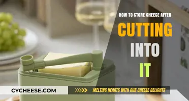 Proper Cheese Storage Tips: Keeping Cut Cheese Fresh and Flavorful