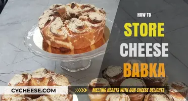 Perfectly Preserving Cheese Babka: Tips for Freshness and Flavor