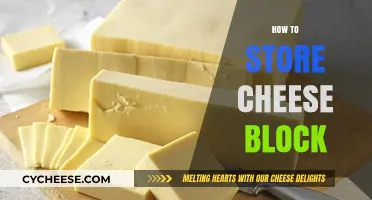 Mastering Cheese Storage: Best Practices for Keeping Cheese Blocks Fresh