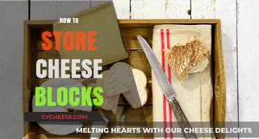 Mastering Cheese Storage: Best Practices for Preserving Cheese Blocks