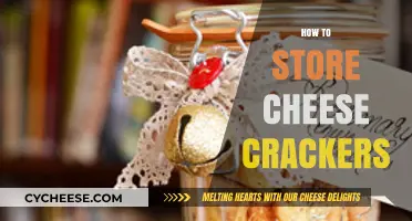 Perfectly Crisp: Best Practices for Storing Cheese Crackers Freshly