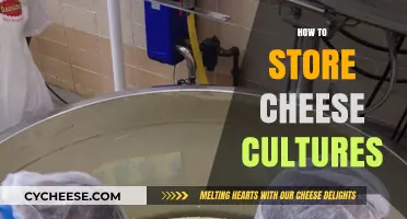 Mastering Cheese Culture Storage: Tips for Longevity and Quality
