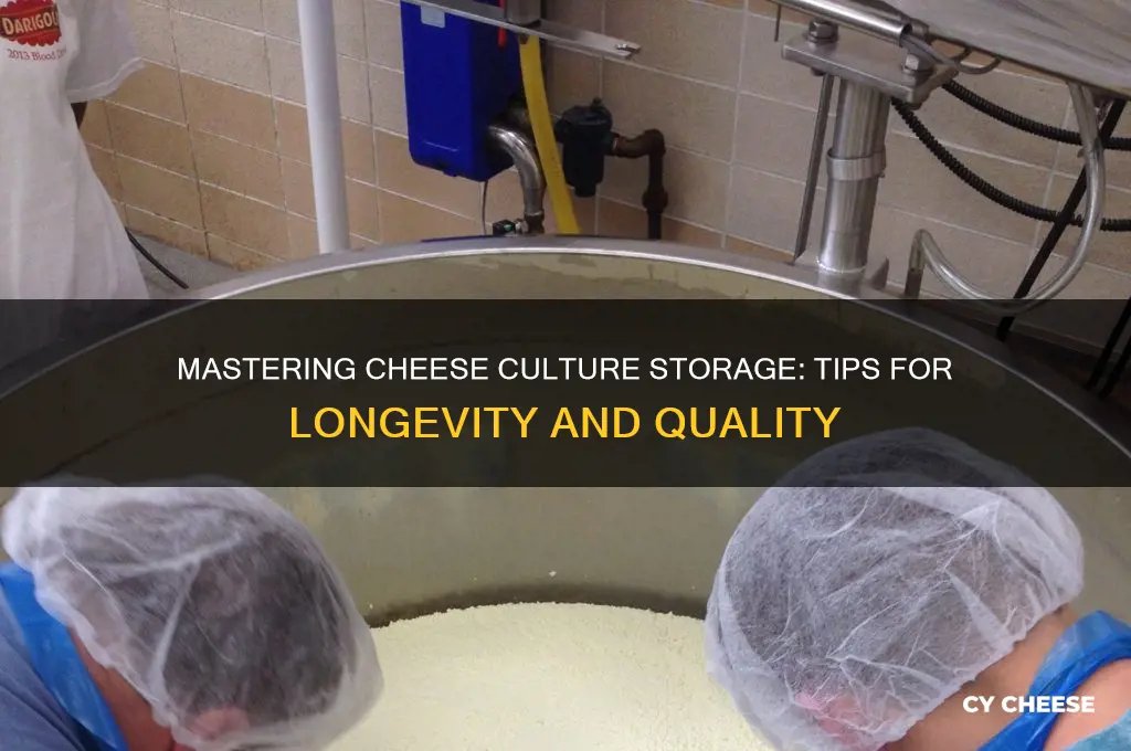 how to store cheese cultures
