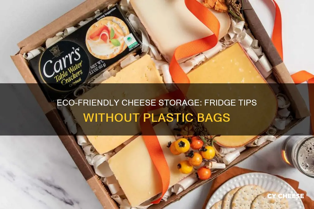 how to store cheese in fridge without plastic bags