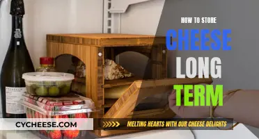 Cheese Storage: Long-Term Methods for Maximum Freshness