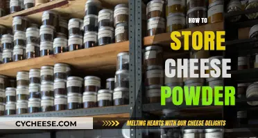 Effective Tips for Storing Cheese Powder to Maintain Freshness and Flavor