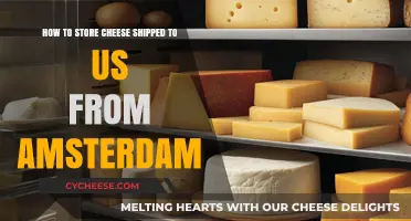 Properly Storing Cheese Shipped from Amsterdam: Tips and Best Practices