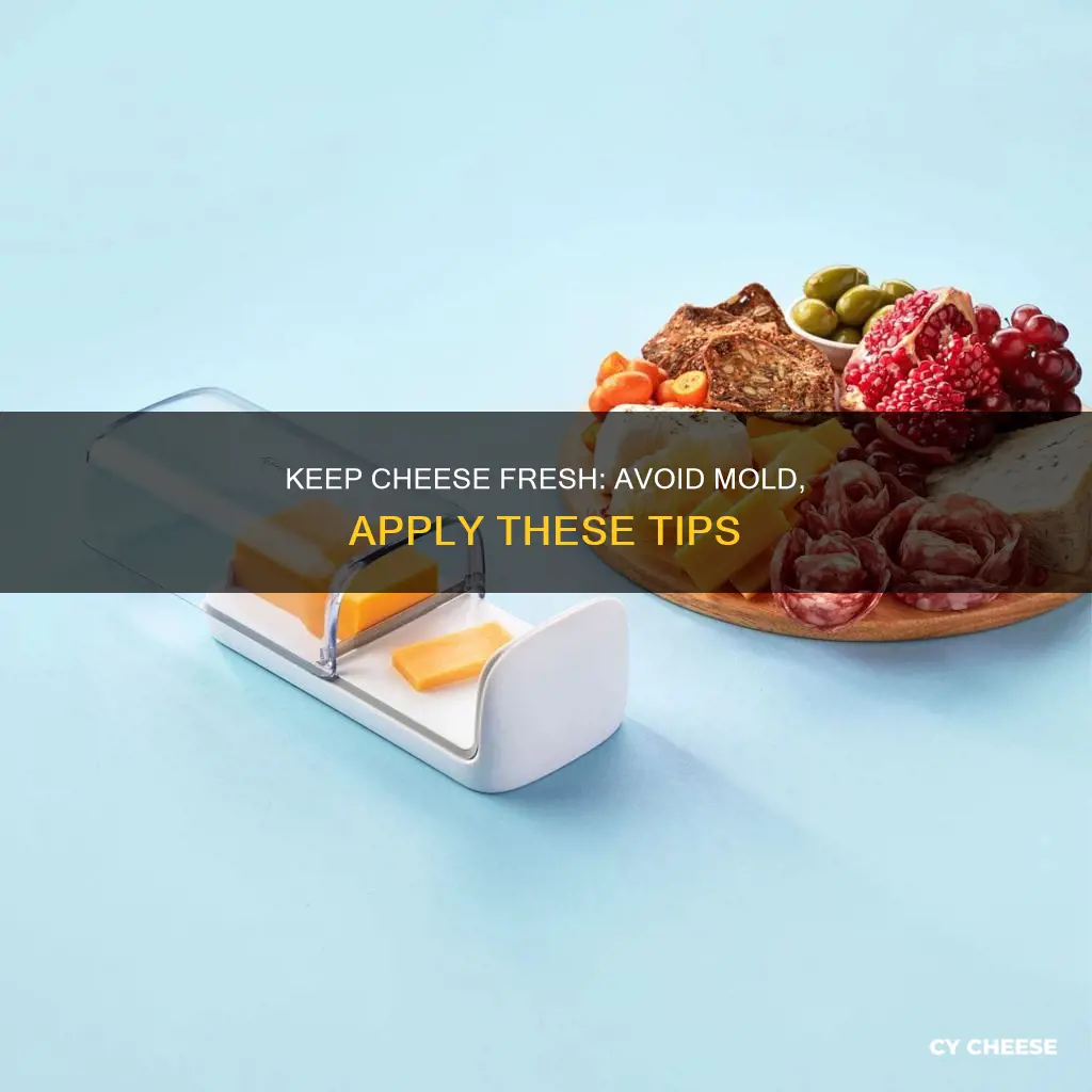 how to store cheese so it doesn