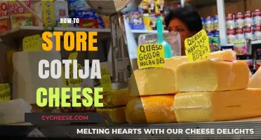 Properly Storing Cotija Cheese: Tips for Freshness and Flavor Preservation