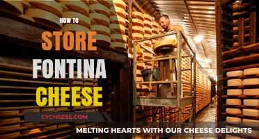 Properly Storing Fontina Cheese: Tips for Freshness and Flavor Preservation