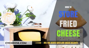 Perfectly Crispy Fried Cheese Storage Tips for Longer Freshness