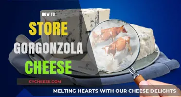 Properly Storing Gorgonzola Cheese: Tips for Freshness and Flavor Preservation