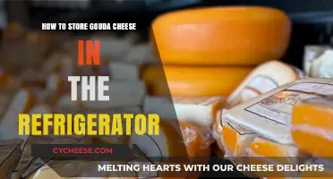 Proper Gouda Storage: Tips for Refrigerating Cheese Freshness