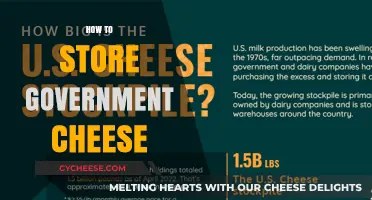 Properly Storing Government Cheese: Tips for Longevity and Freshness
