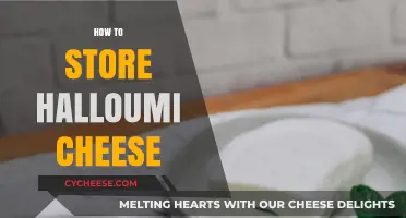 Proper Halloumi Cheese Storage Tips for Freshness and Flavor