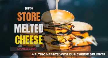 The Best Way to Store Melted Cheese