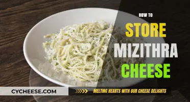 Proper Storage Tips for Preserving Fresh Mizithra Cheese at Home