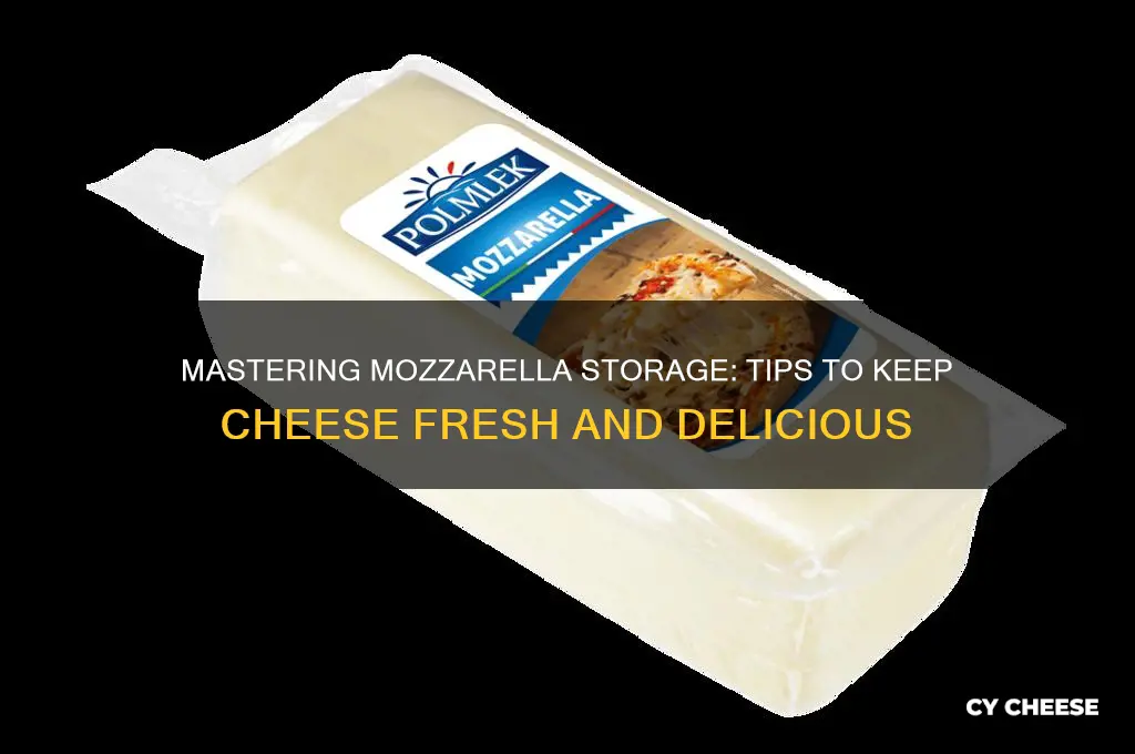 how to store mozarella cheese