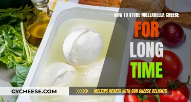 Storing Mozzarella: Long-Term Preservation Techniques for Cheesemongers