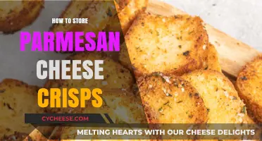 The Best Way to Store Parmesan Cheese Crisps