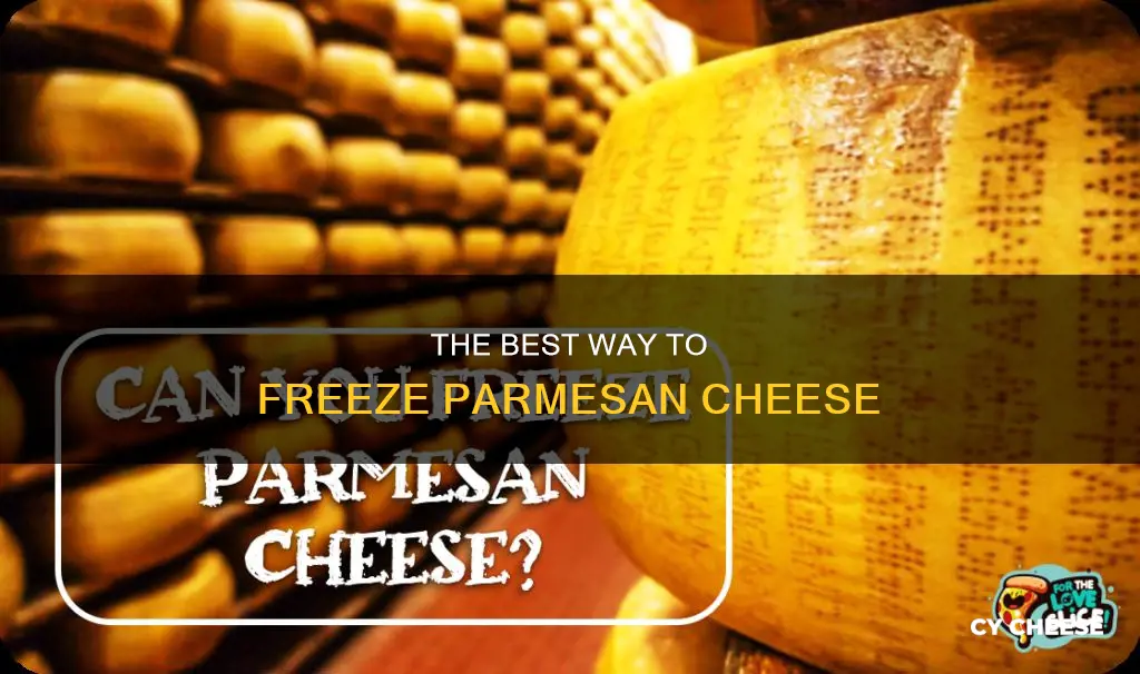 how to store parmesan cheese in freezer