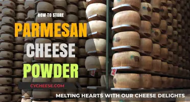The Best Way to Store Parmesan Cheese Powder