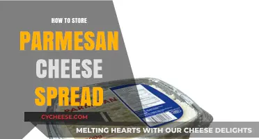 The Best Way to Store Parmesan Cheese Spread