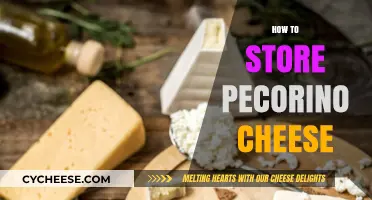 Mastering Pecorino Storage: Tips for Preserving Flavor and Freshness