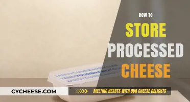 Proper Storage Tips for Keeping Processed Cheese Fresh and Tasty