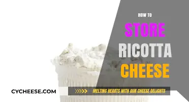 Proper Ricotta Cheese Storage Tips for Freshness and Flavor Preservation