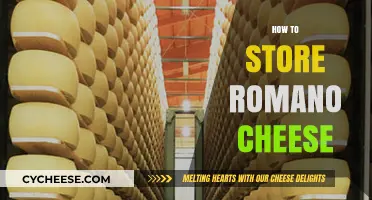 Proper Storage Tips for Preserving Freshness of Romano Cheese