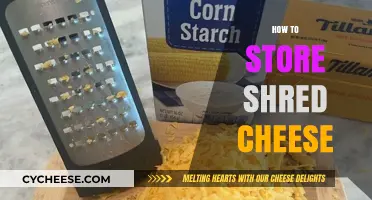 Mastering Shredded Cheese Storage: Tips for Freshness and Flavor