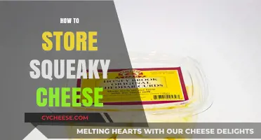 Mastering Squeaky Cheese Storage: Tips for Freshness and Texture