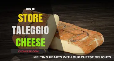 Proper Taleggio Cheese Storage: Tips for Preserving Its Creamy Texture