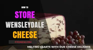 Proper Wensleydale Cheese Storage Tips for Freshness and Flavor