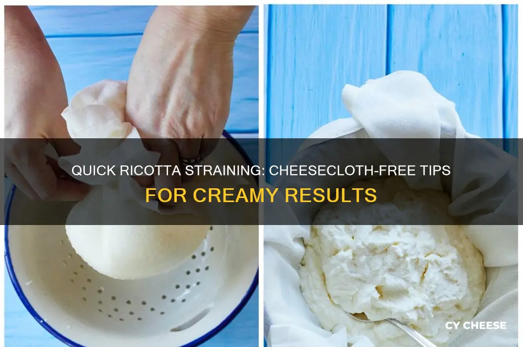 how to strain ricotta cheese quickly without cheesecloth