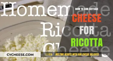 Substitute Cottage Cheese for Ricotta: Easy Recipe Swaps and Tips