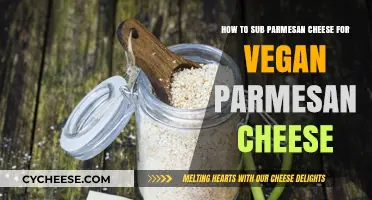 Vegan Parmesan: The Dairy-Free Substitution for Your Favorite Topping
