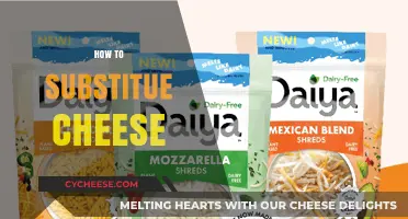 Creative Cheese Substitutes: Elevate Your Dishes Without Dairy