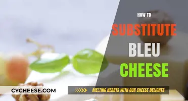 Creative Bleu Cheese Alternatives: Elevate Your Dishes with These Substitutes
