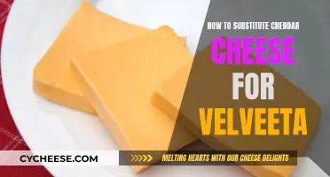 Velveeta Substitute: 3 Cheddar Swaps for Your Cheesy Dishes