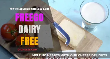 Dairy-Free Delights: Cheesy Alternatives for Every Palate