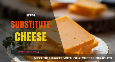 Creative Cheese Substitutes: Delicious Alternatives for Every Dish and Diet